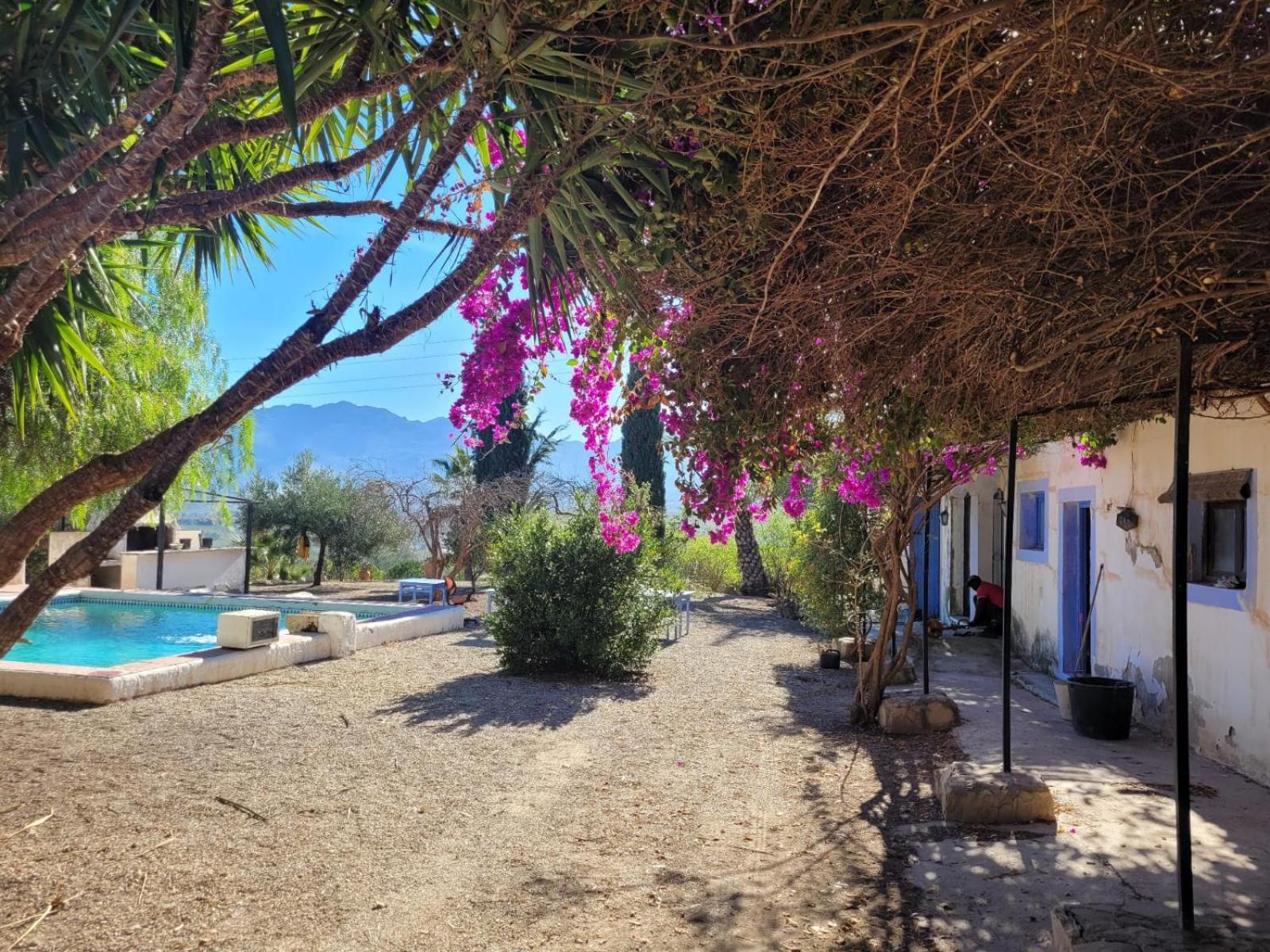Cortijo Las Gallardas En Almeria Los Gallardos エクステリア 写真
